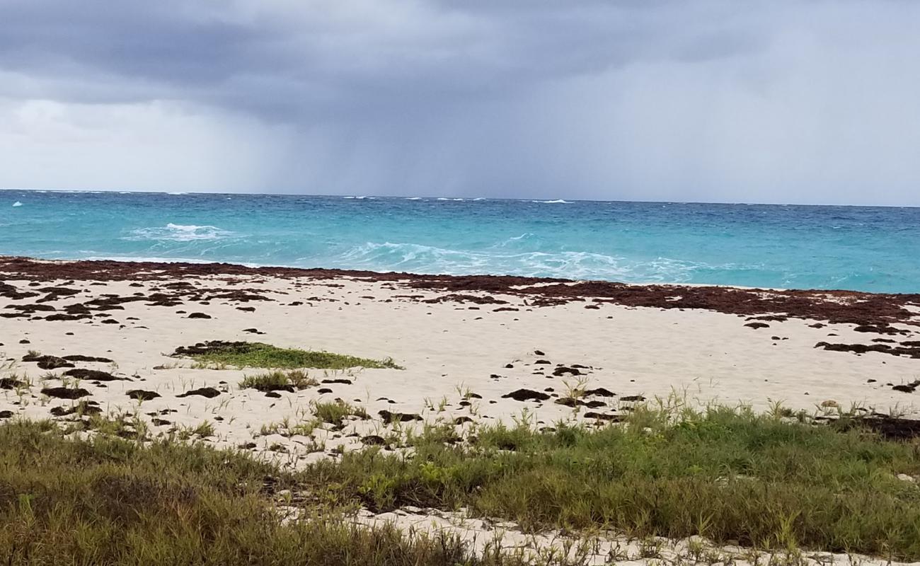 Photo de Harrismith beach avec sable beige fin de surface