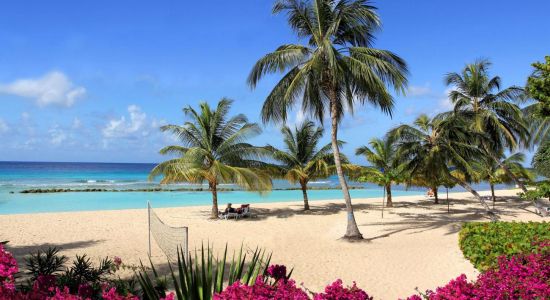 Plage de Coconut