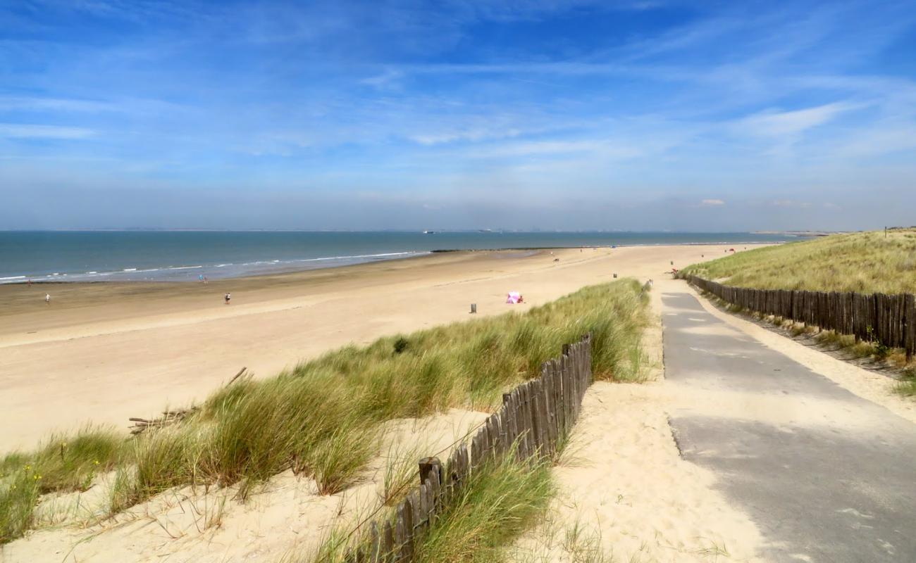 Photo de Moio Beach avec sable lumineux de surface