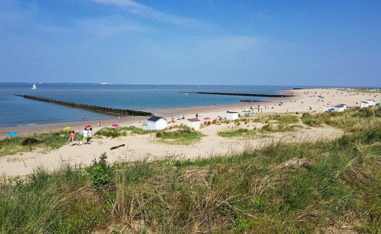 Photo de Strand Breskens II avec sable lumineux de surface