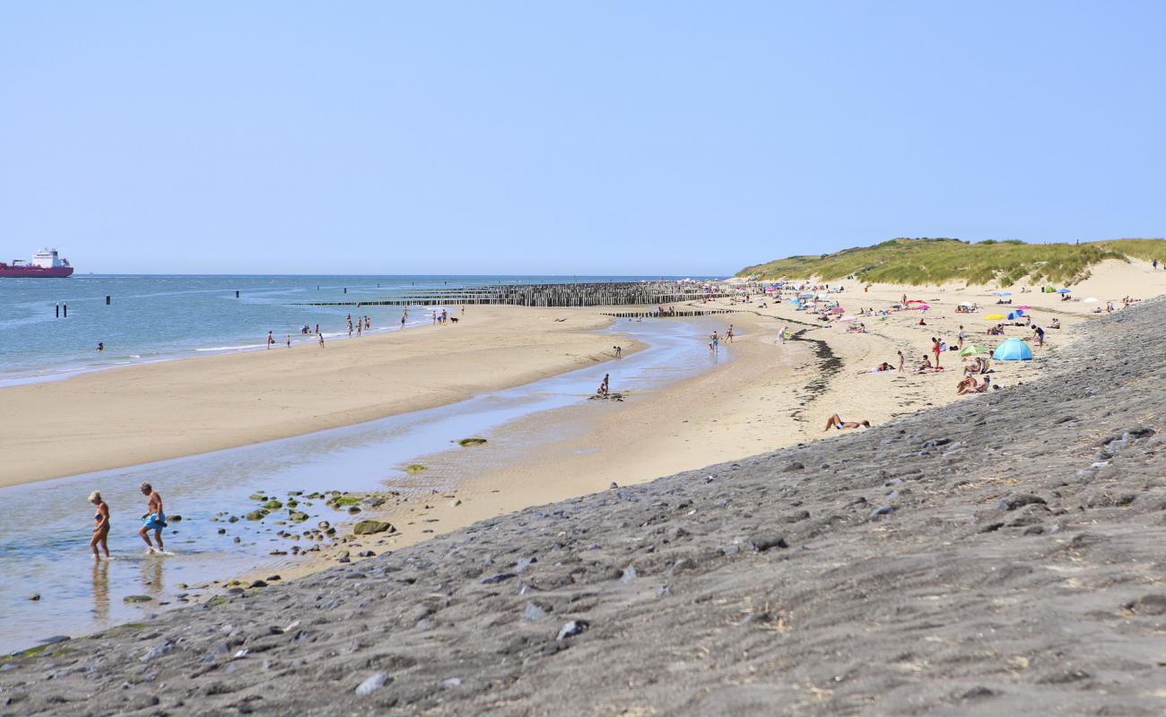 Photo de Vlissingen strand avec sable gris de surface