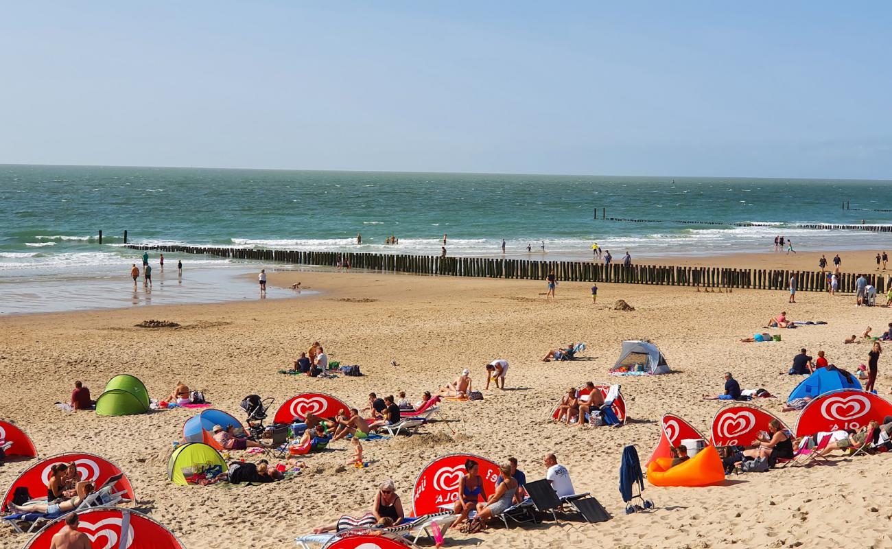 Photo de Zoutelande beach II avec sable lumineux de surface