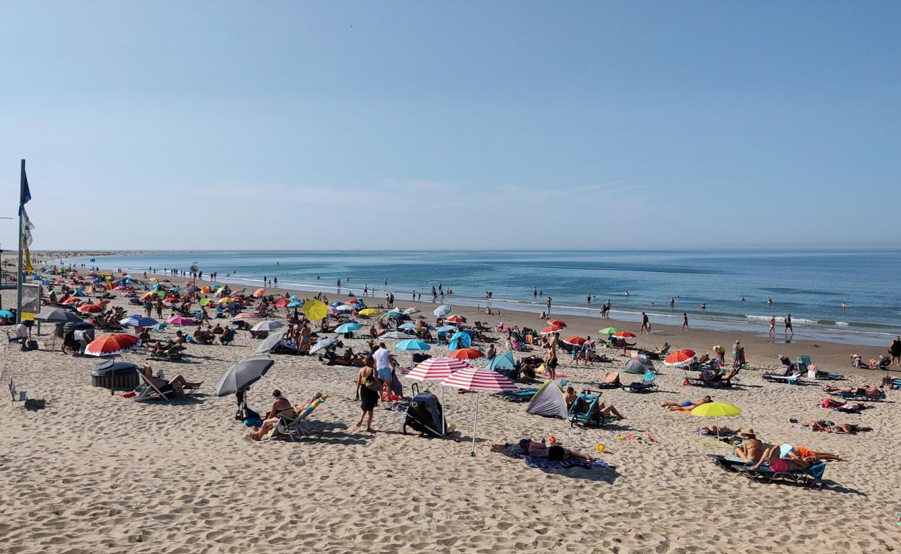 Photo de Renesse beach II avec sable beige de surface