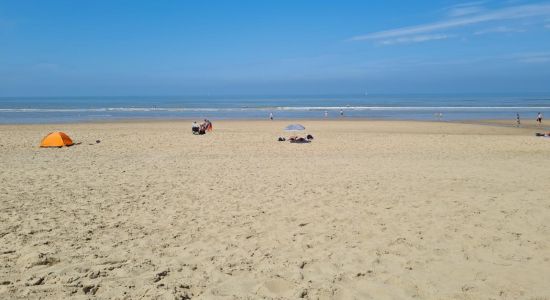 Plage de Wassenaarseslag