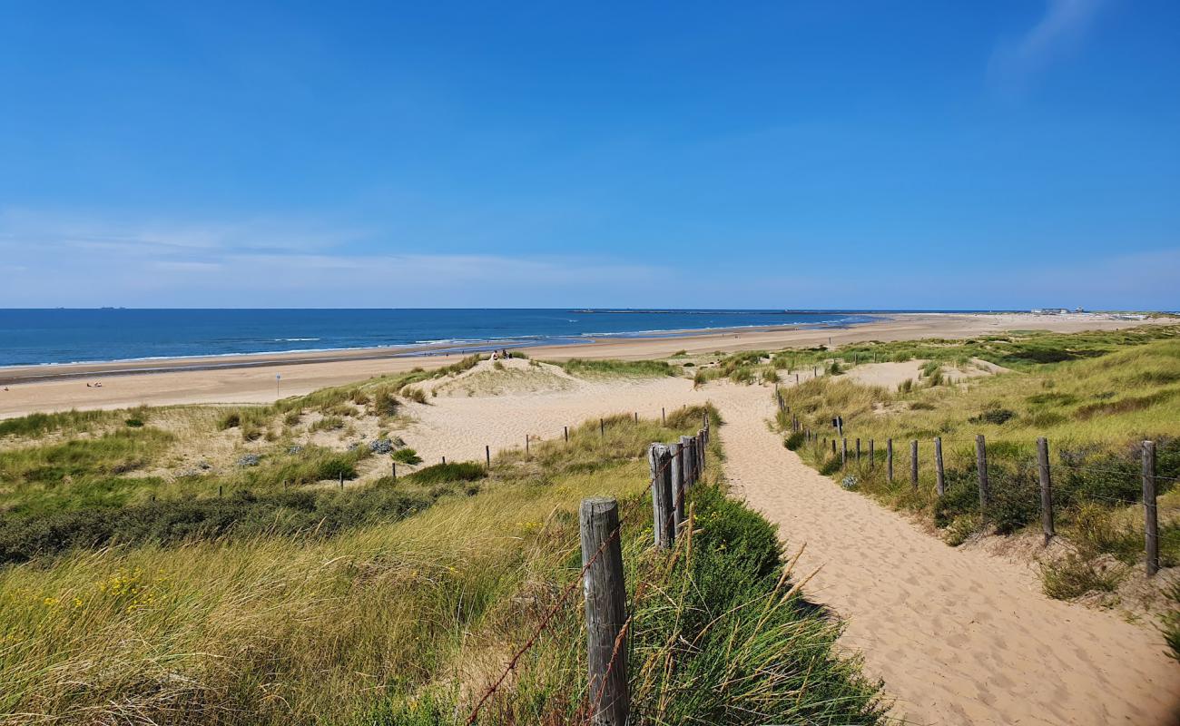 Photo de Plage d'IJmuiden avec sable lumineux de surface