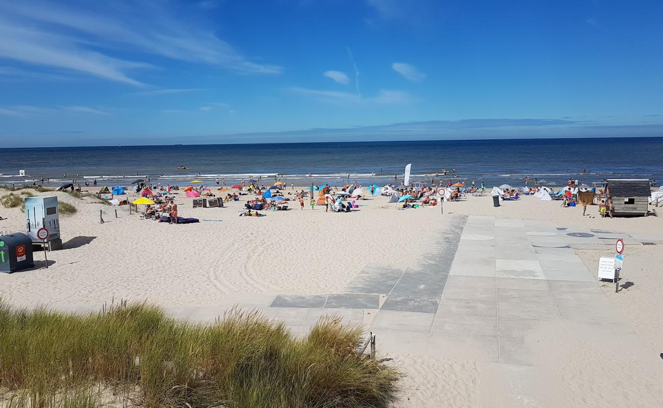 Photo de Petten aan Zee Beach avec sable beige de surface