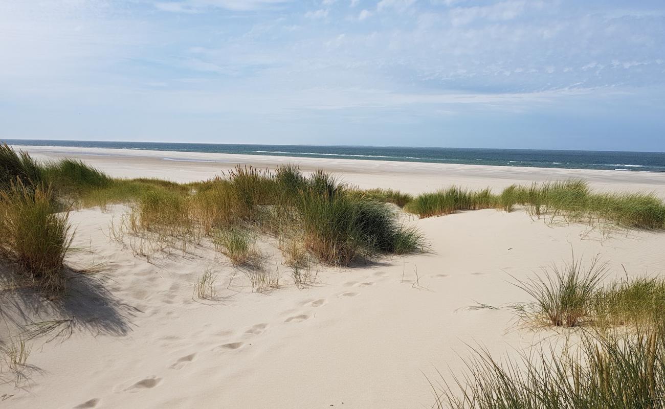 Photo de De Hors avec sable blanc de surface