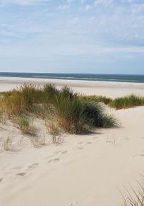Île de Texel