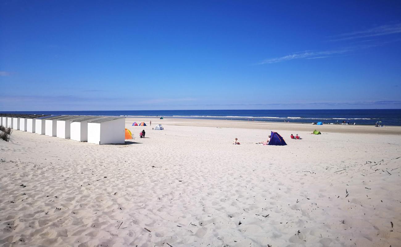 Photo de Texel Duinen avec sable lumineux de surface