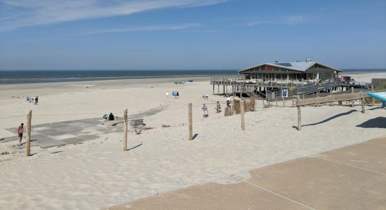 Plage Ameland