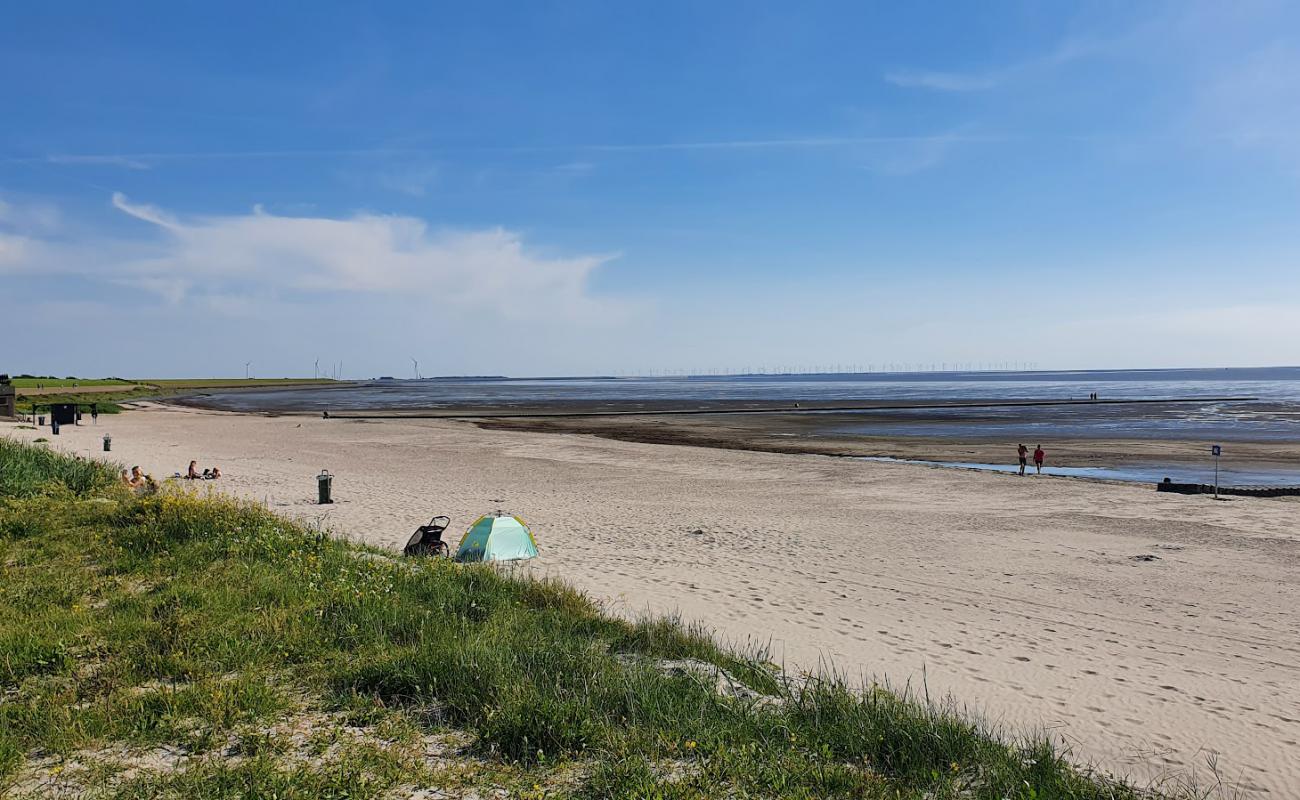 Photo de Plage de Harlingen avec sable lumineux de surface