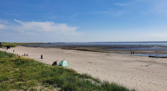 Plage de Harlingen