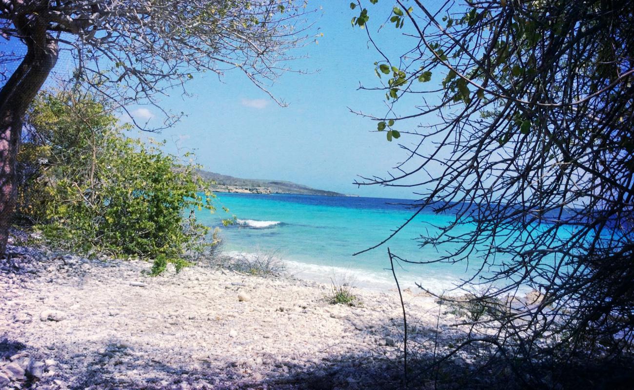 Photo de Playa Largu avec sable beige & galets de surface