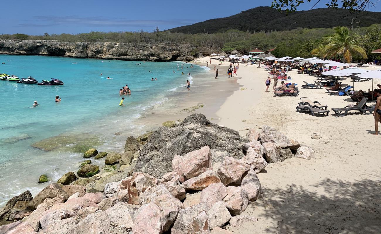 Photo de Plage de Kleine Knip avec sable beige de surface