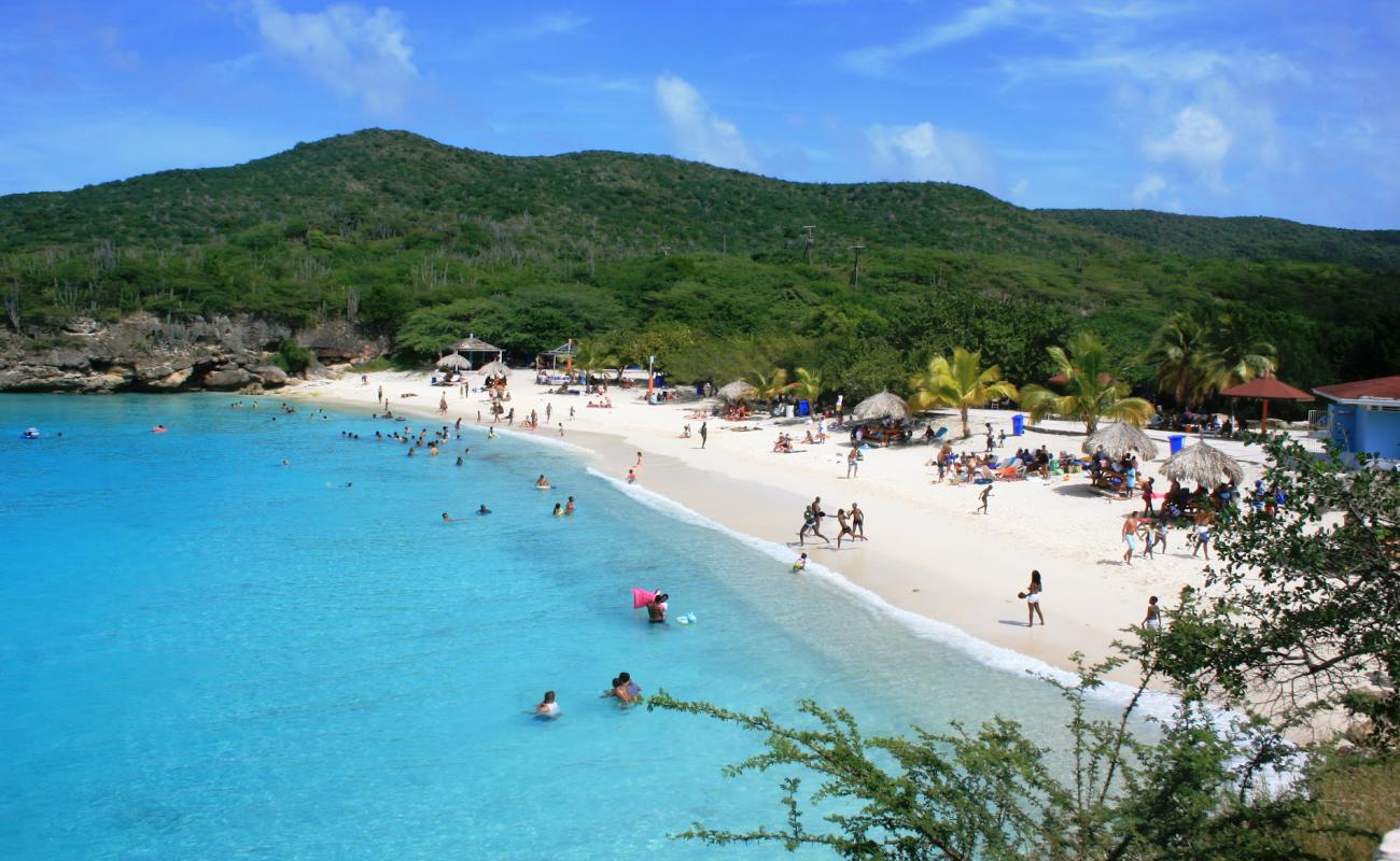 Photo de Plage de Grote Knip avec sable lumineux de surface