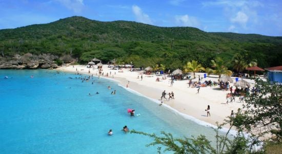 Plage de Grote Knip