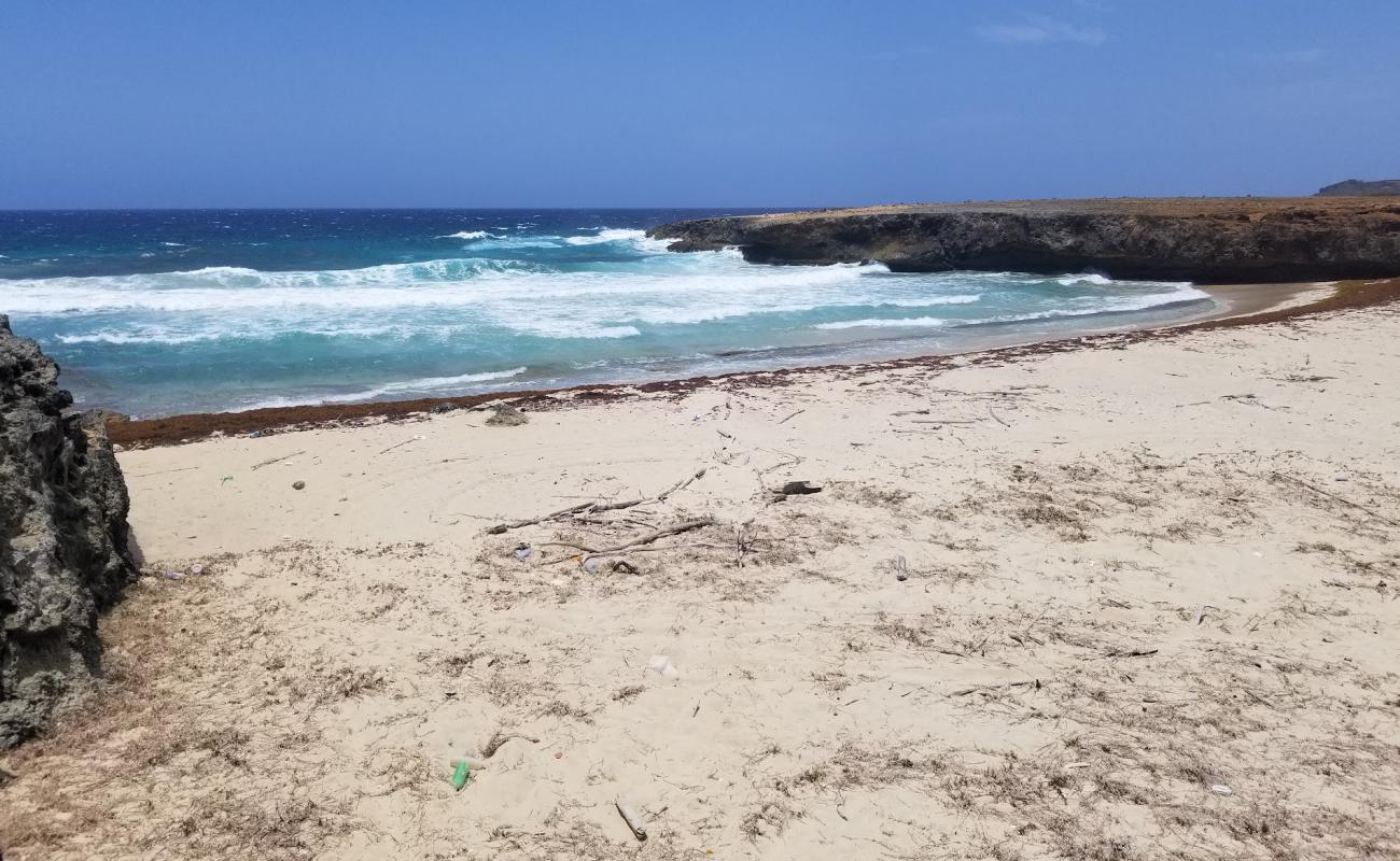 Photo de Daimari beach avec sable lumineux de surface