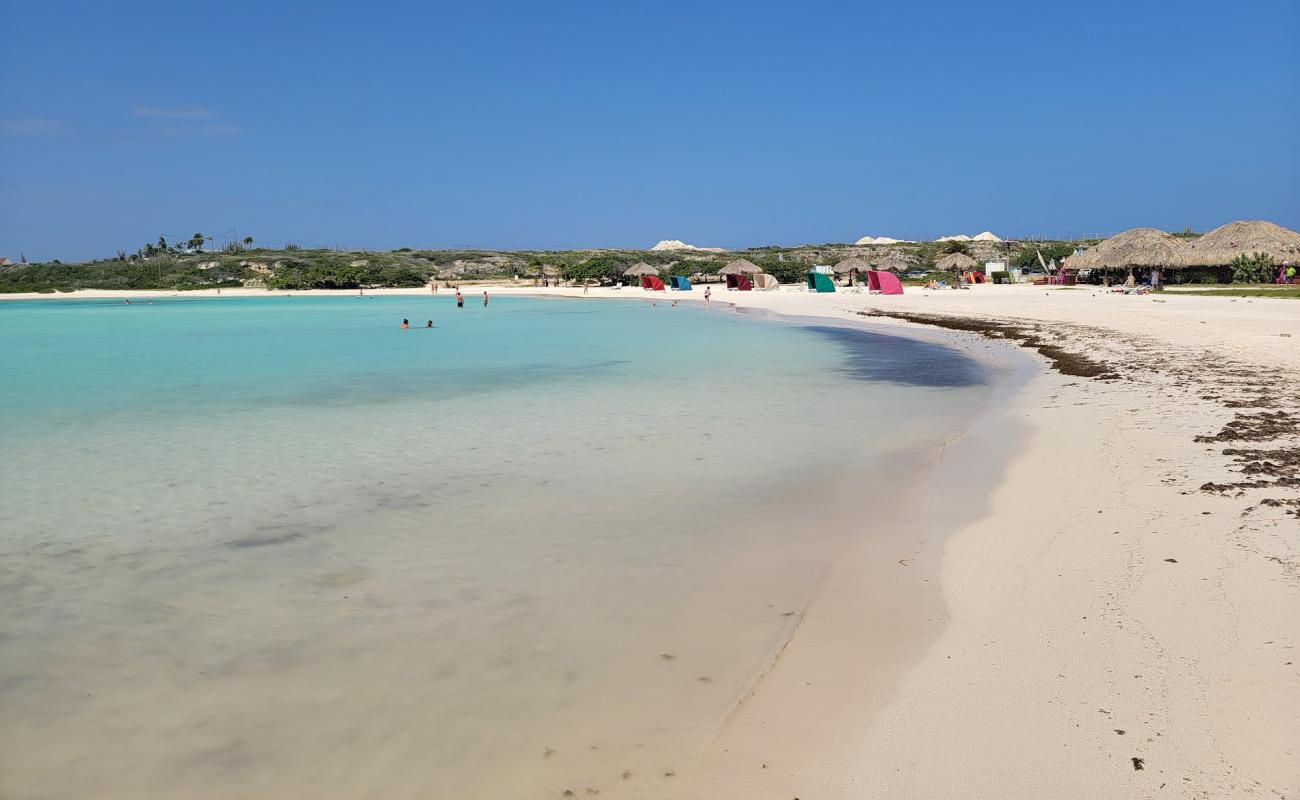 Photo de Plage pour Bébés avec sable beige fin de surface