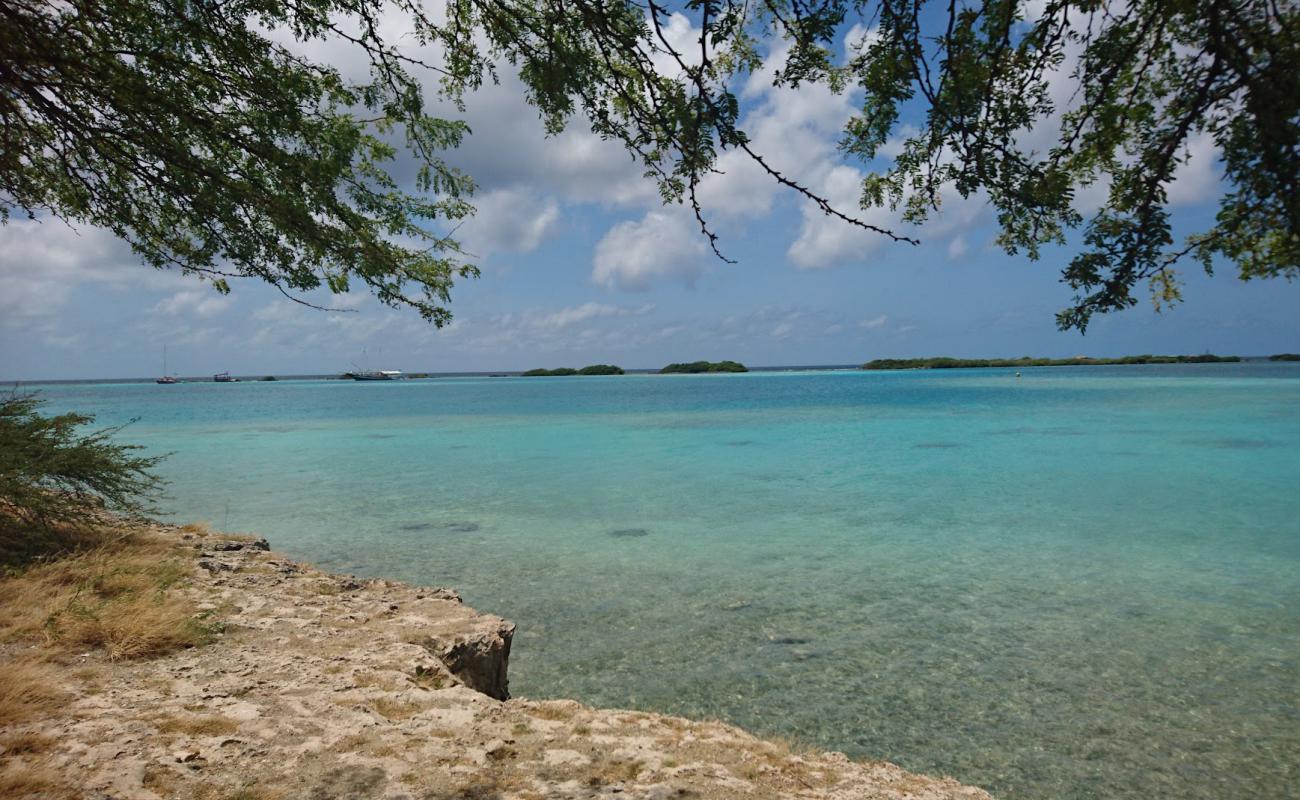 Photo de Battata beach avec sable gris & galets de surface