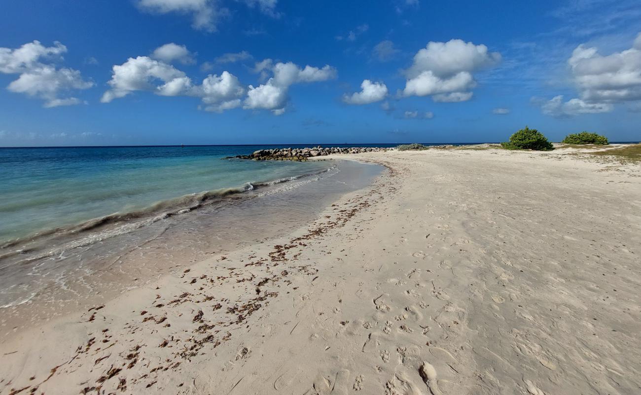 Photo de Bushiri beach Hotel avec sable lumineux de surface