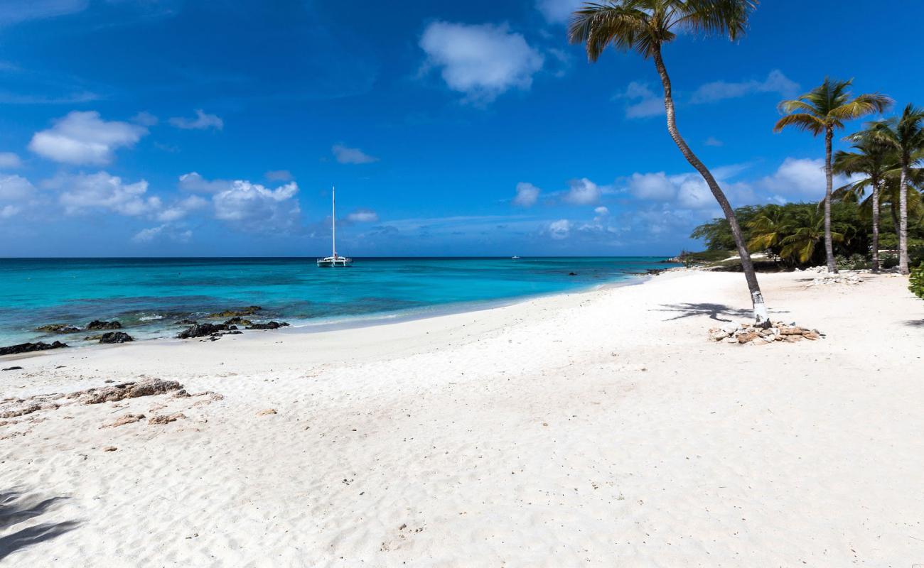 Photo de Boca Catalina Beach avec sable beige fin de surface
