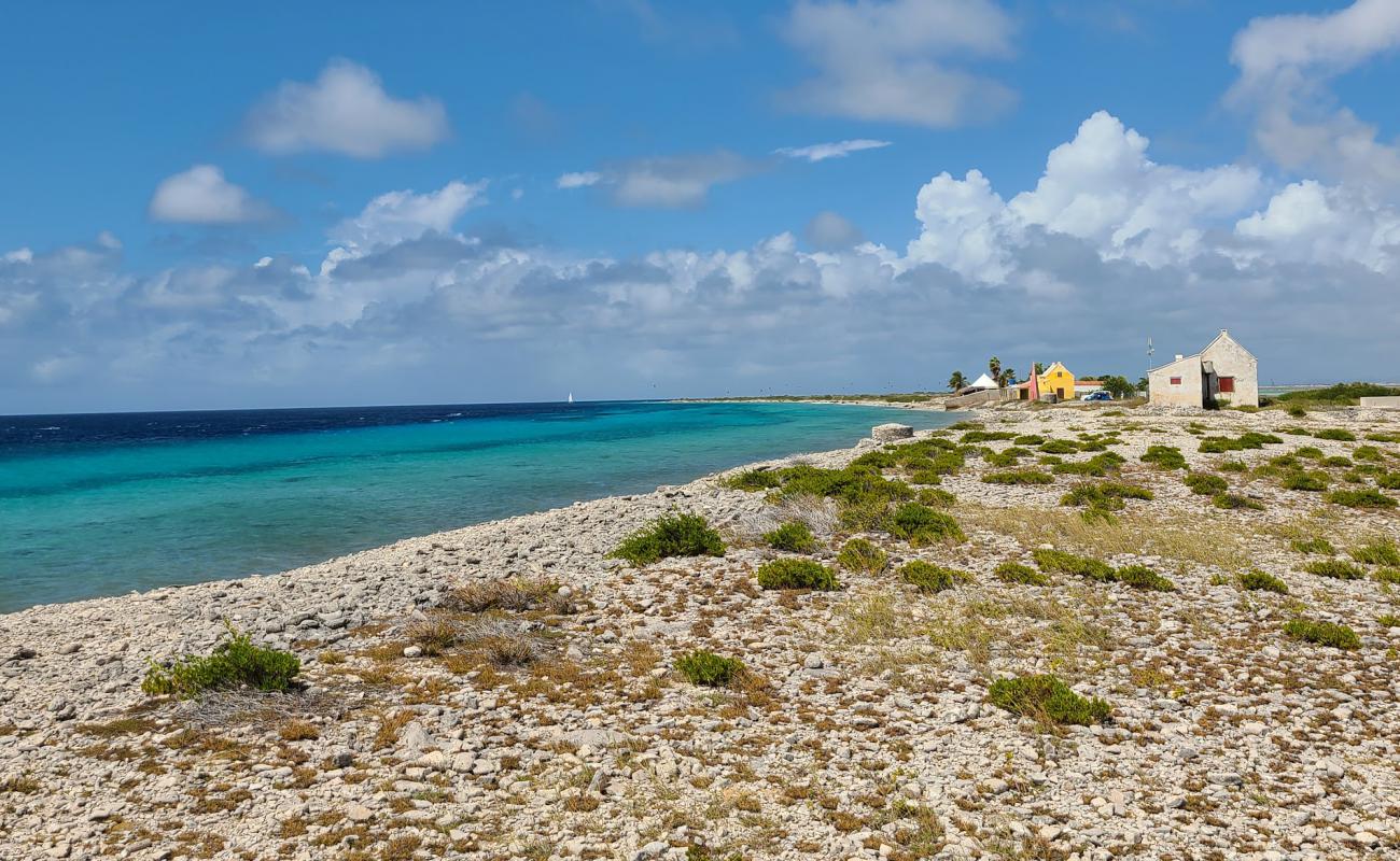Photo de Vista Blue avec galets beige de surface
