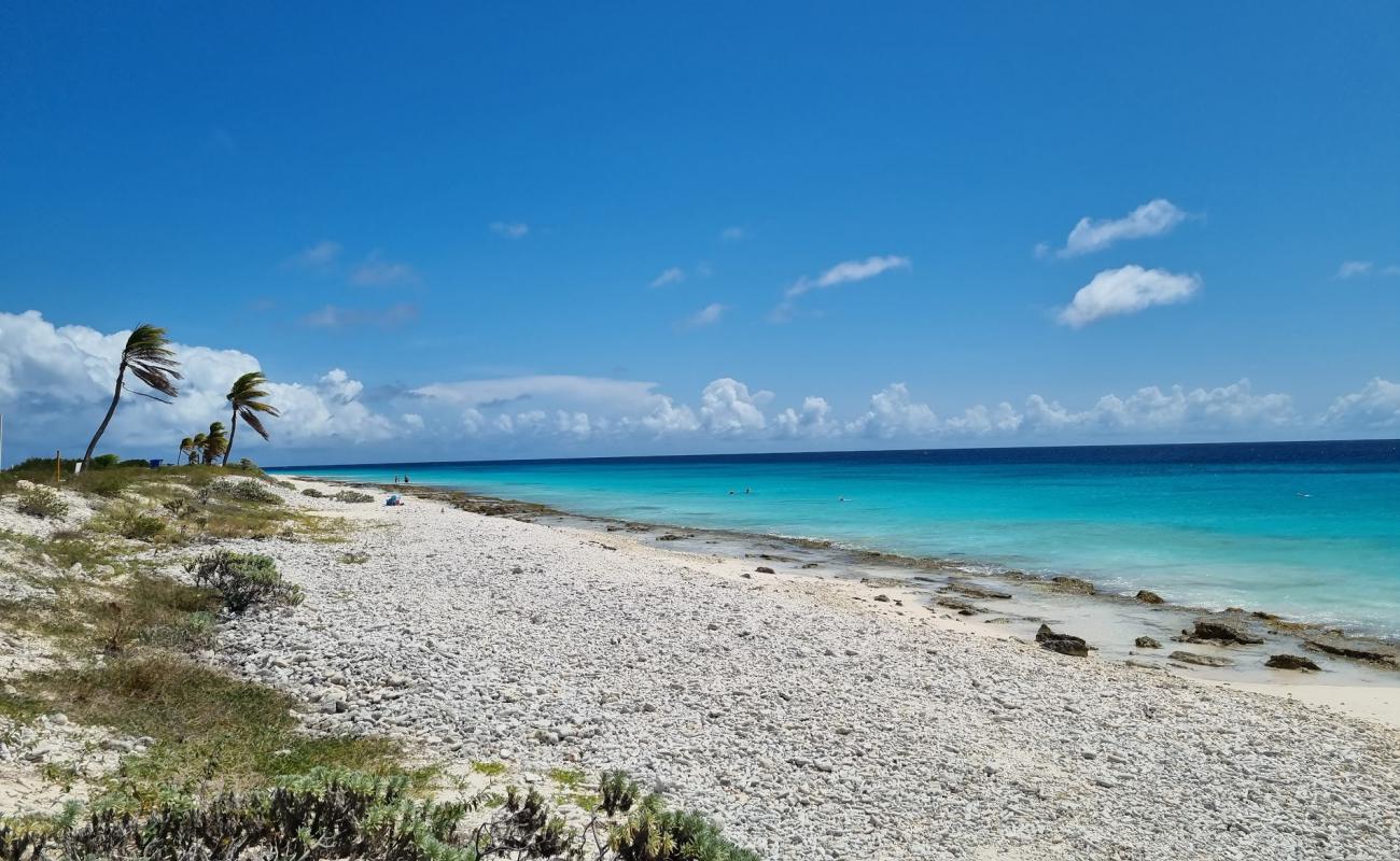 Photo de Pink Beach Bonaire avec galets blancs de surface