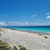 Pink Beach Bonaire