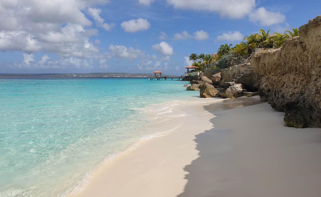 Photo de Bachelor's Beach avec sable beige de surface