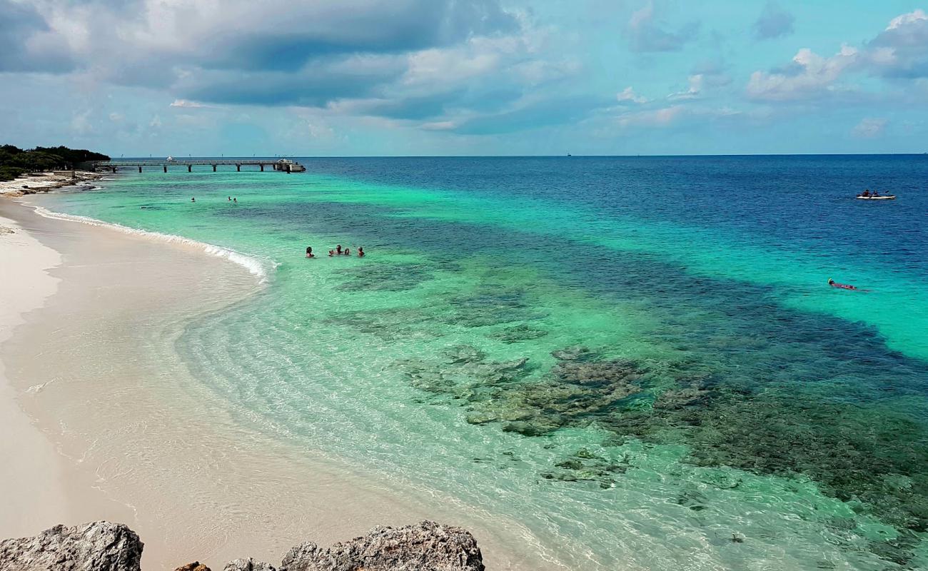Photo de Te Amo Beach avec sable beige de surface
