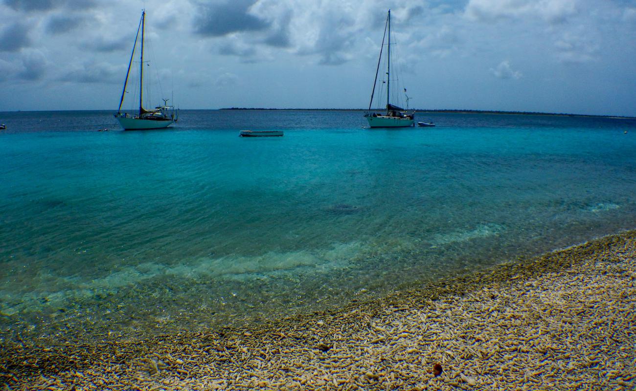 Photo de Vakantiehuis Pelican Reef avec petits galets beige de surface