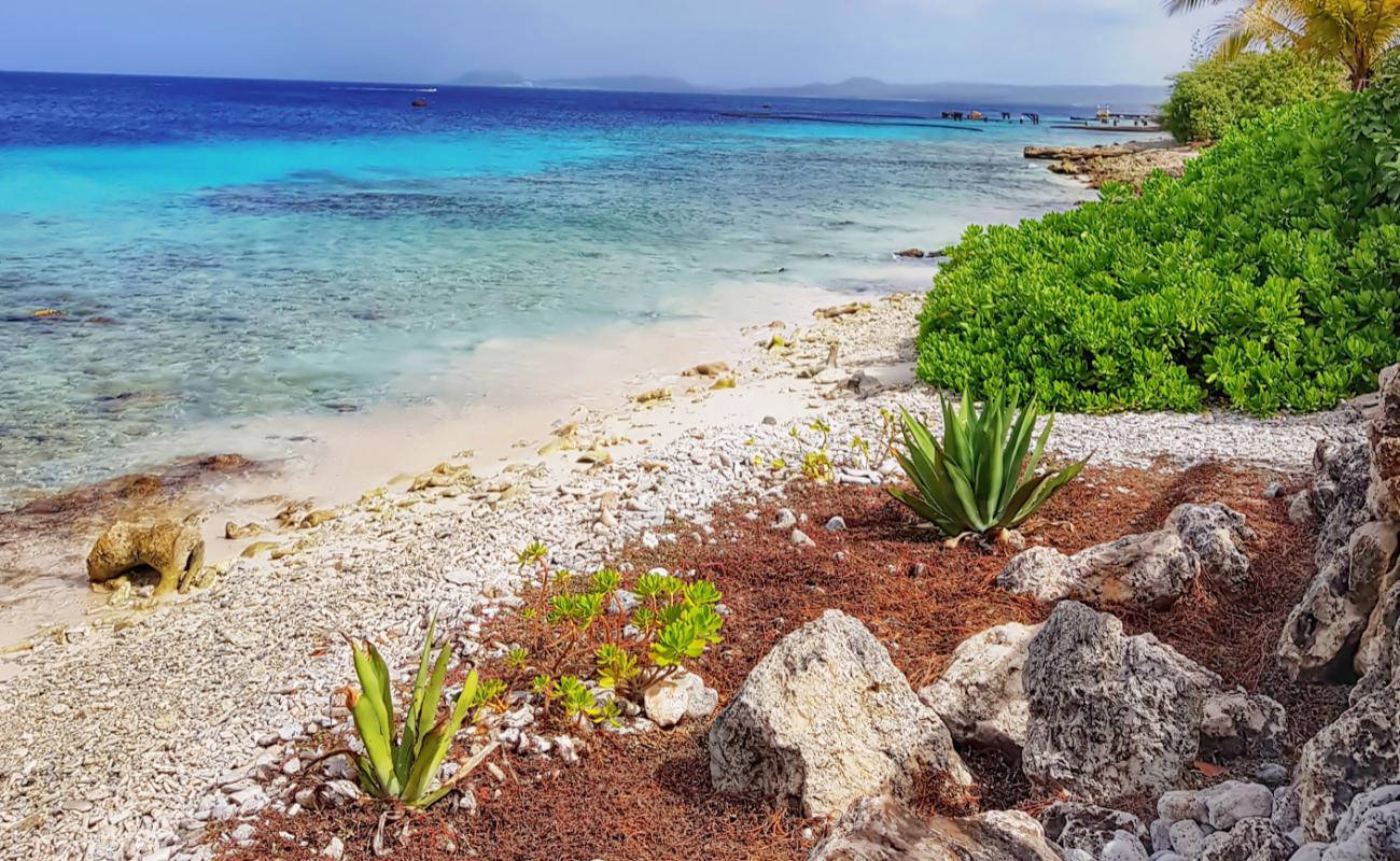 Photo de Hato Beach avec terrain rocheux de surface