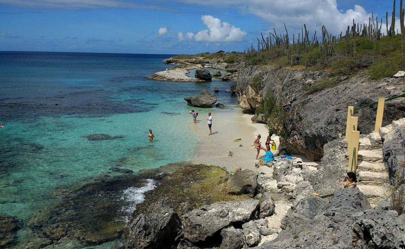 Photo de Wayaka Beach avec sable beige & pierres de surface