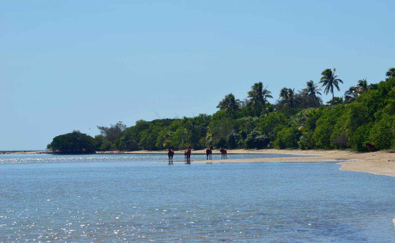 Photo de Poingam Beach avec sable beige de surface