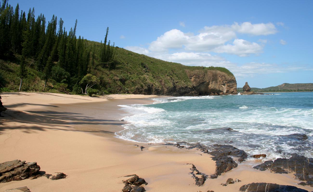 Photo de Baie des tortues avec sable beige de surface