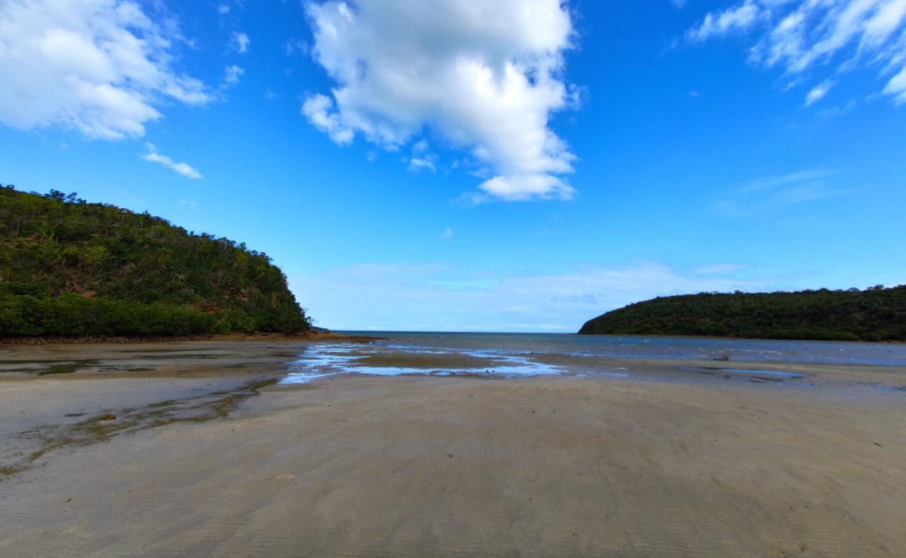 Photo de Plage de la baie des sapins avec sable gris de surface