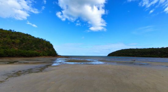 Plage de la baie des sapins