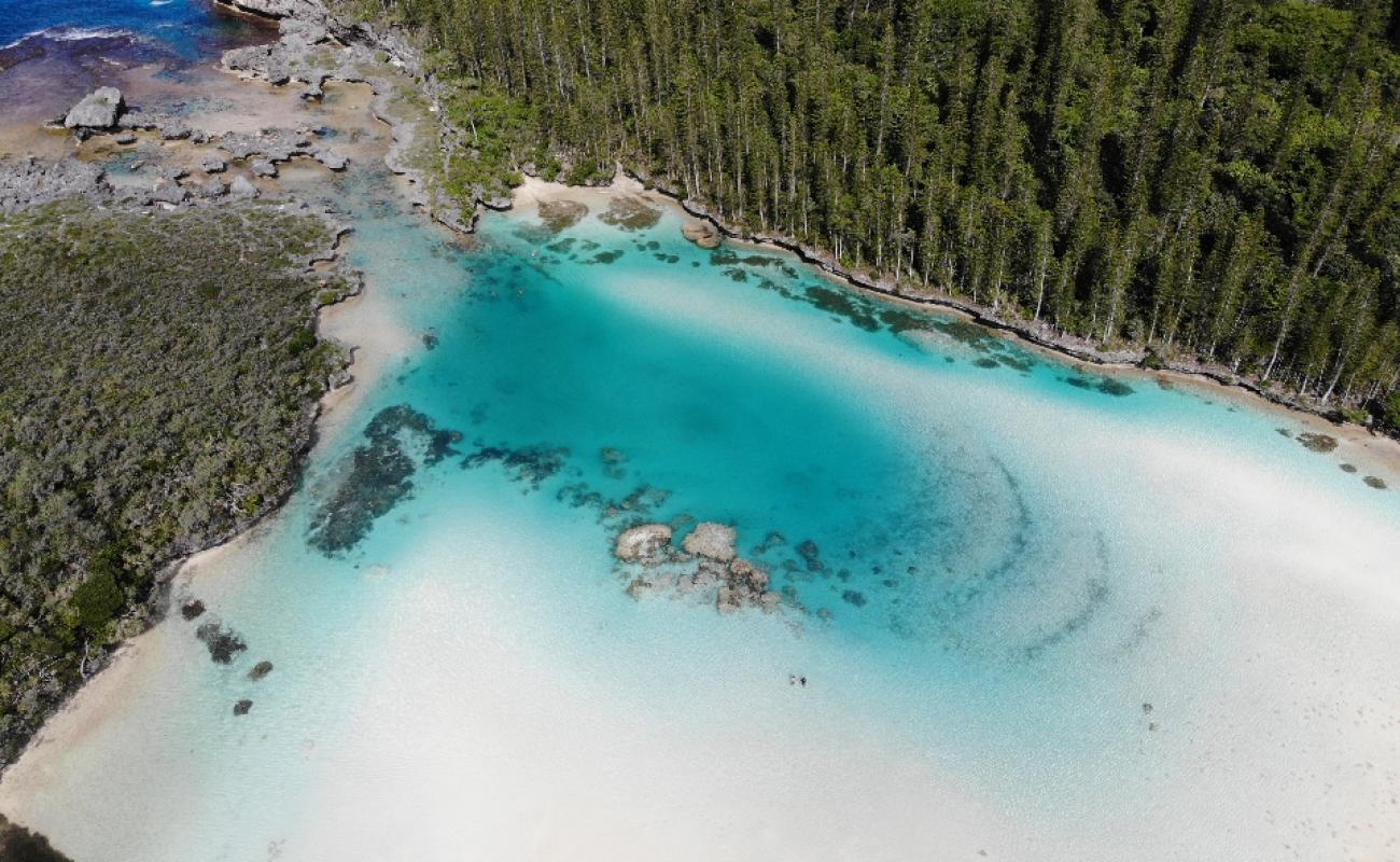 Photo de Oro Natural Pool avec sable lumineux de surface