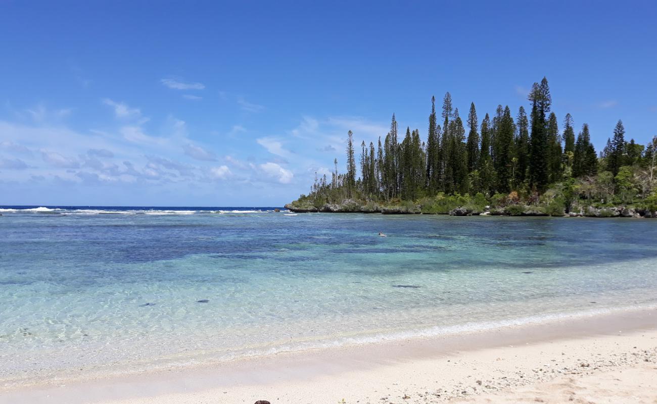 Photo de Baie Des Tortues avec sable blanc de surface