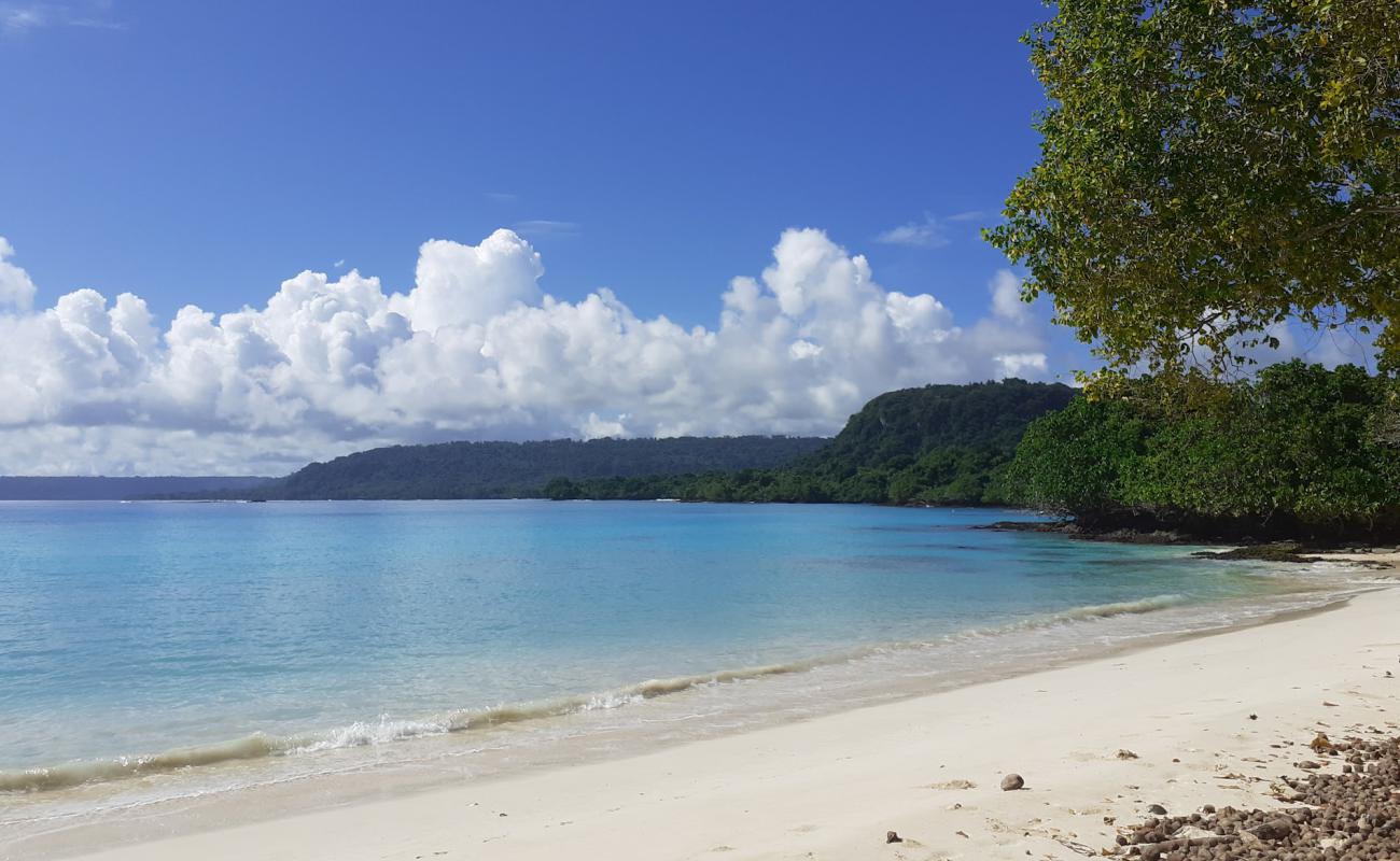 Photo de Island reef Beach avec sable beige de surface