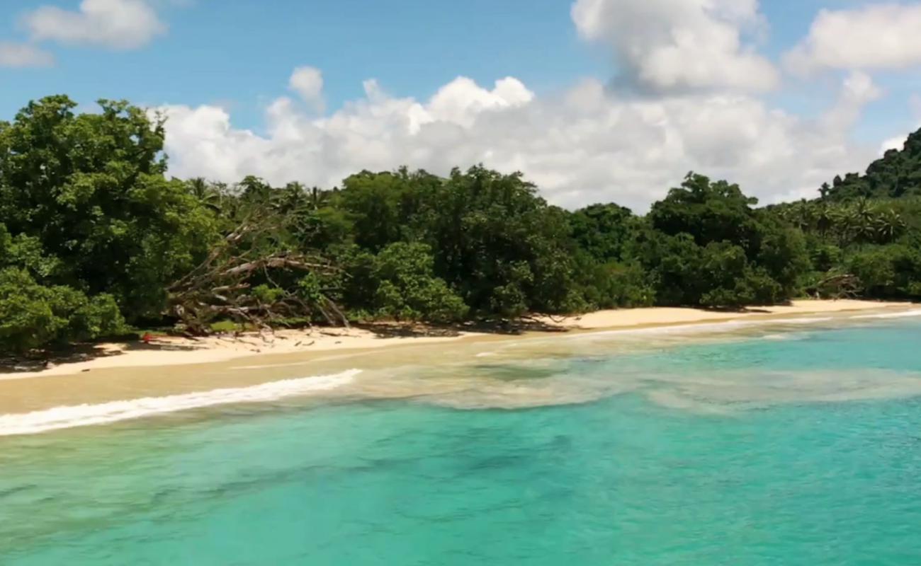 Photo de Golden Beach avec sable fin et lumineux de surface