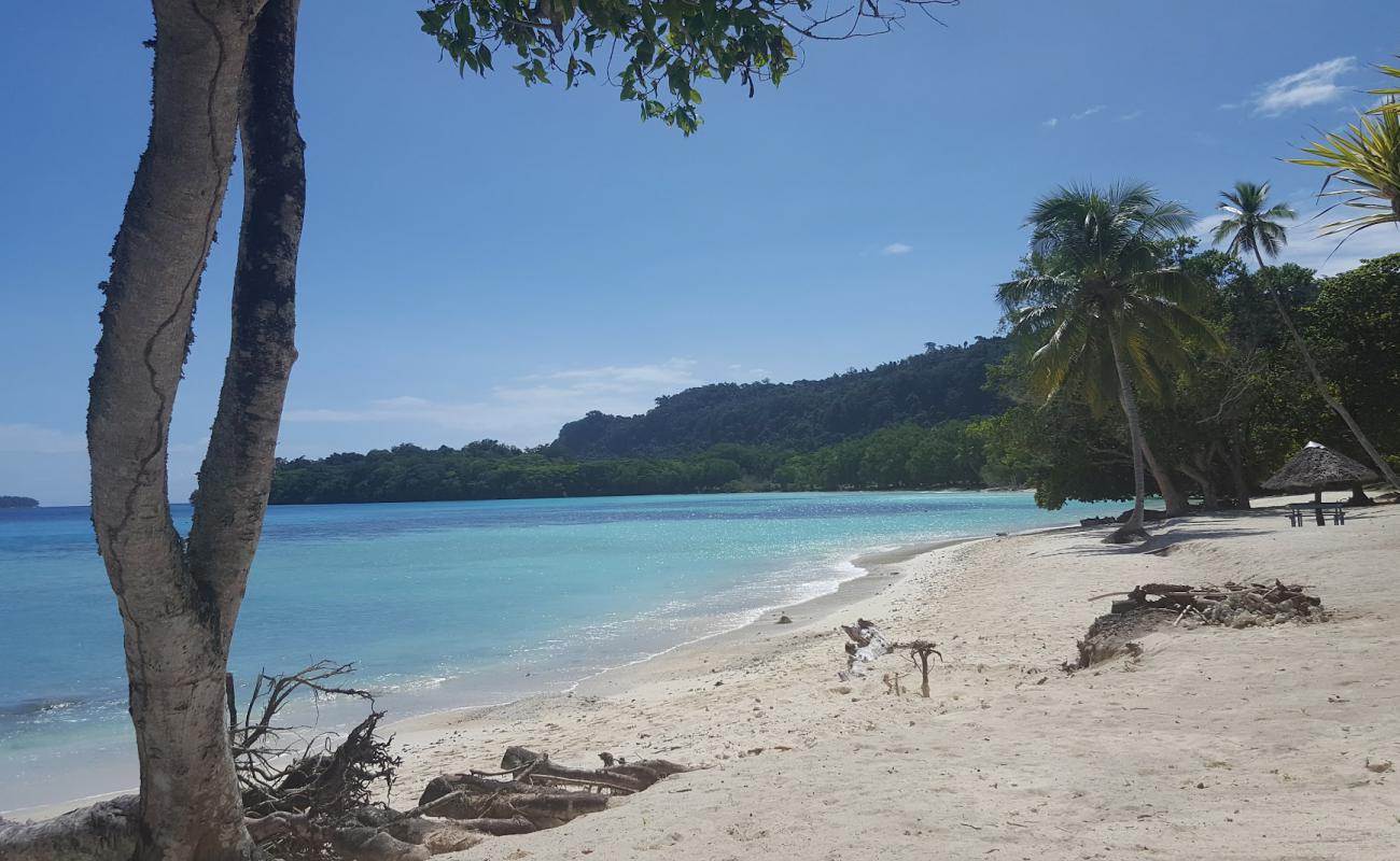 Photo de Lonnoc Beach avec sable beige fin de surface