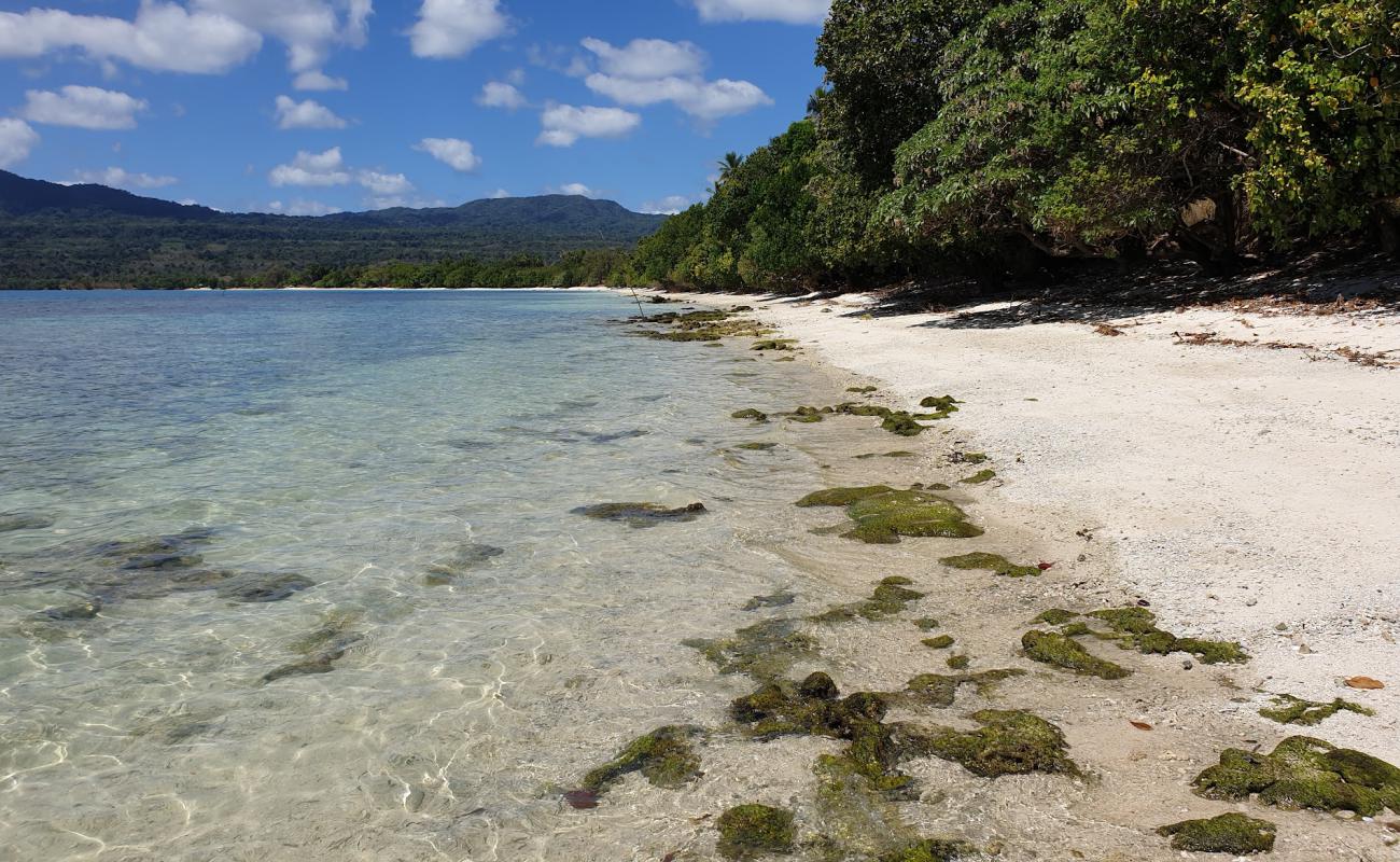 Photo de Saint Lawrence Beach avec sable beige & pierres de surface