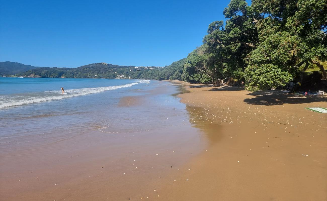 Photo de Coopers Beach avec sable brun de surface