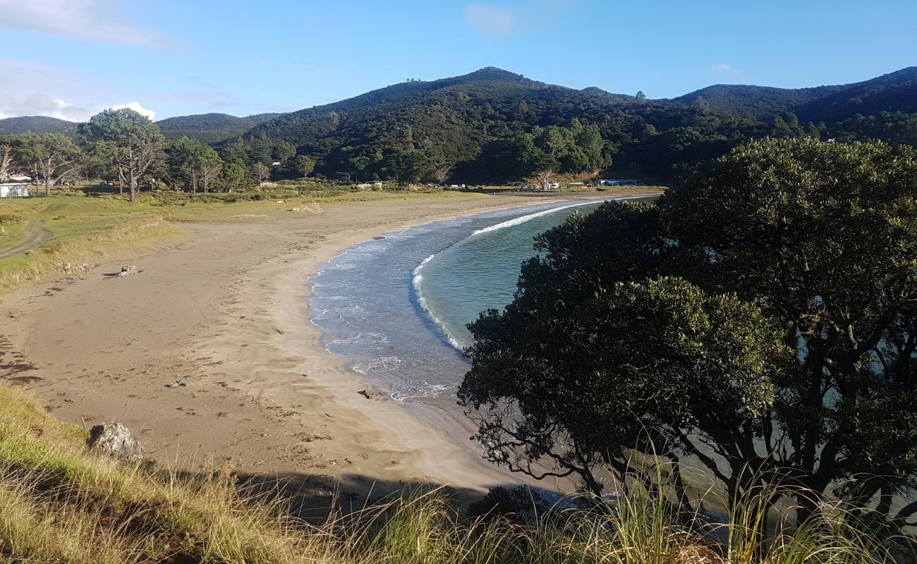 Photo de Waimahana Beach avec sable beige de surface