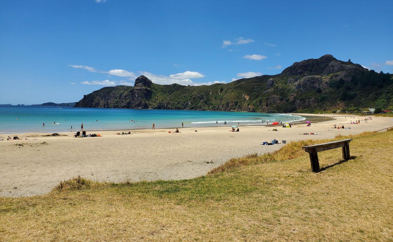 Photo de Taupo Bay Beach avec sable beige de surface