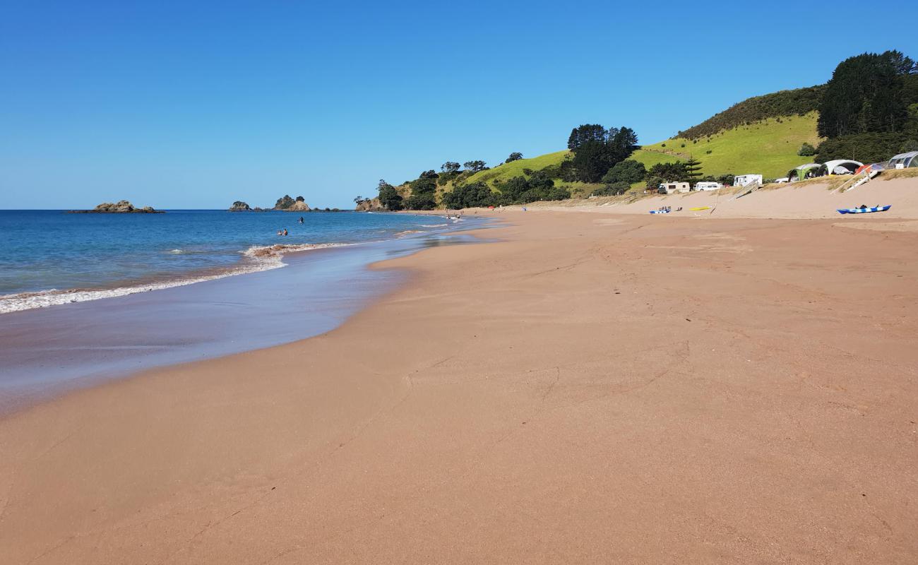 Photo de Tauranga Bay Beach avec sable lumineux de surface