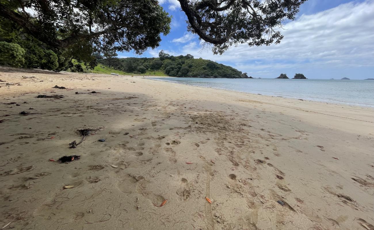 Photo de Piapia Bay Beach avec sable lumineux de surface