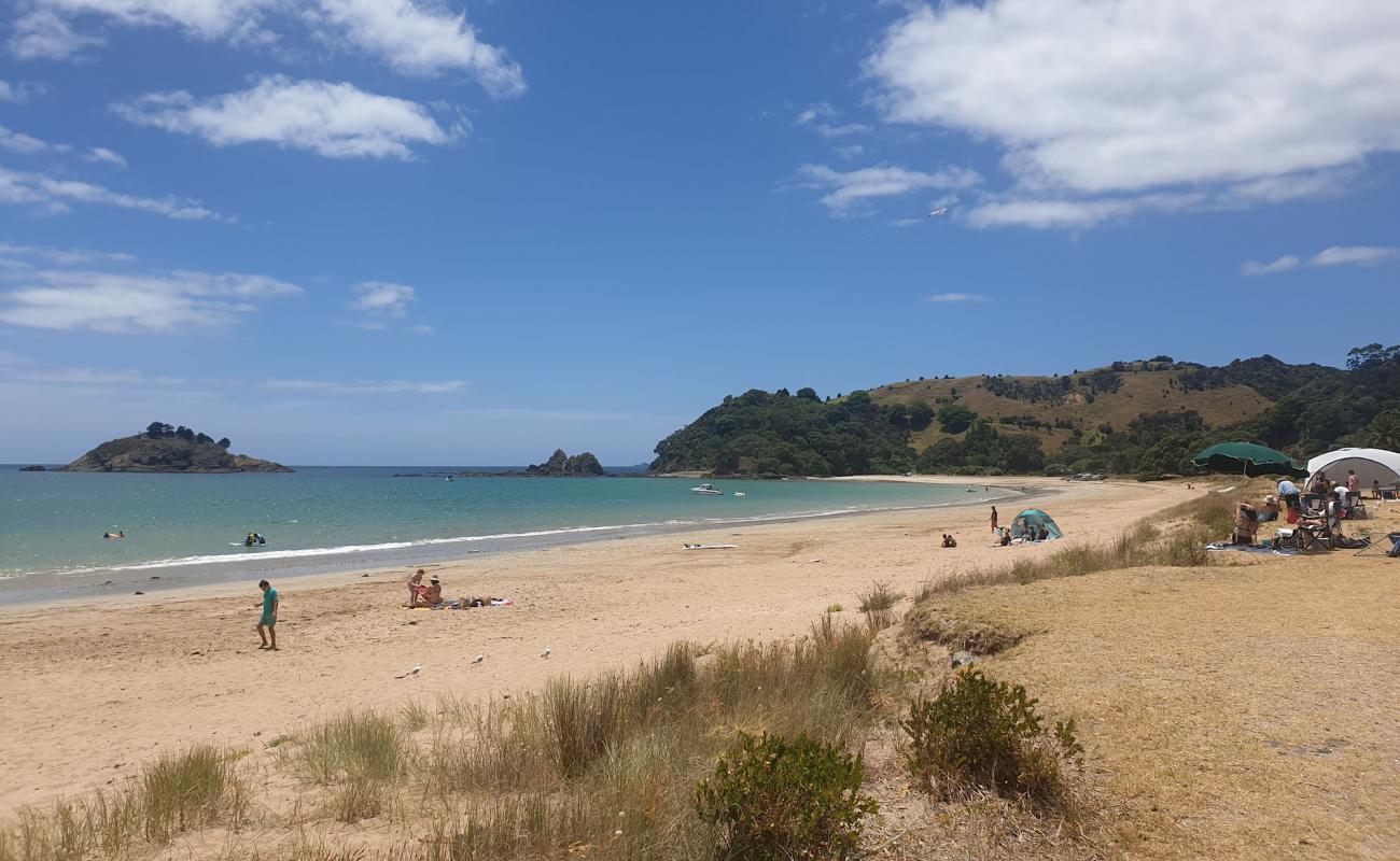 Photo de Te Ngaere Bay avec sable lumineux de surface