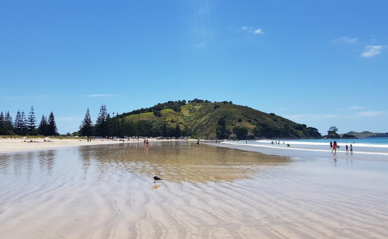 Photo de Matauri Bay Beach avec sable lumineux de surface